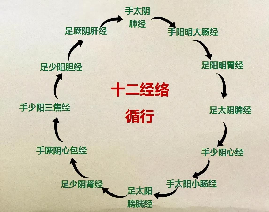 针灸学太白在哪条经脉,再看针灸学之经脉篇