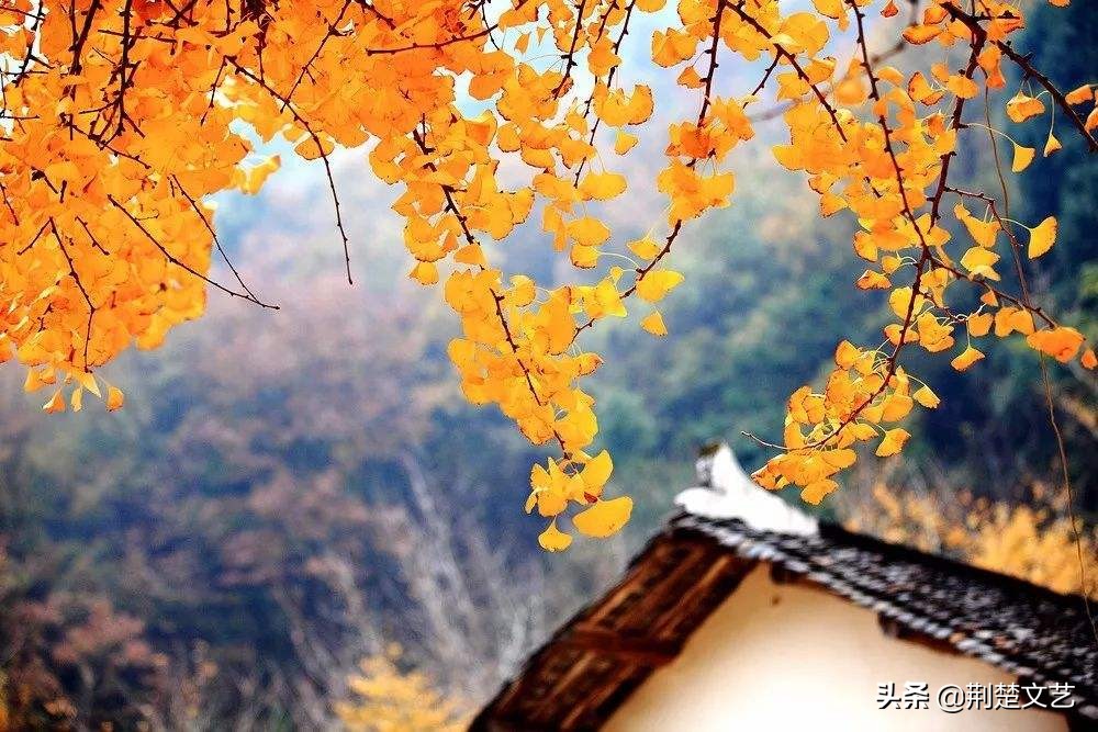 老同学一路走好愿天堂没痛苦,老同学一路走好的哀悼短句子