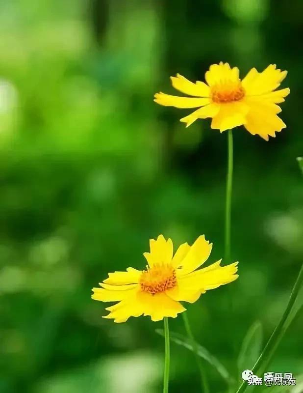 丹凤晒晒：从此不再见名人