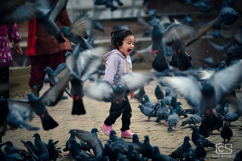 尼康d850相机拍风景长焦镜头推荐,尼康d850动态d-lighting开好还是关好