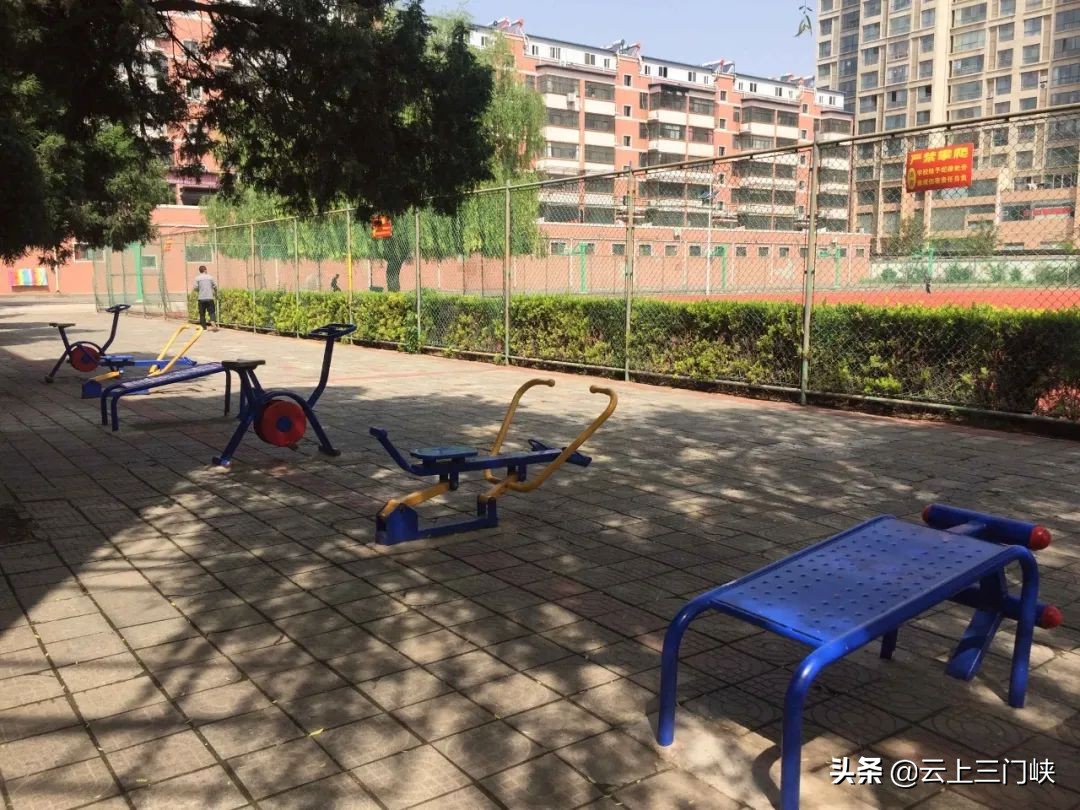 灵宝一高“弦歌不辍正芳华”系列报道：艺术之花满园春