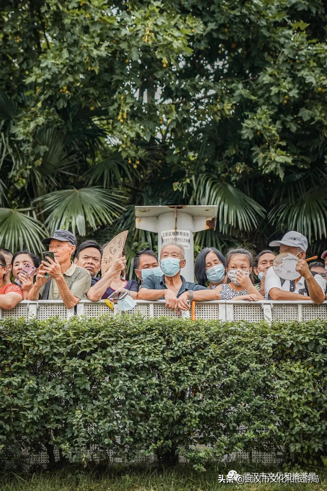 武汉渡江节获奖,3-6岁佩奇