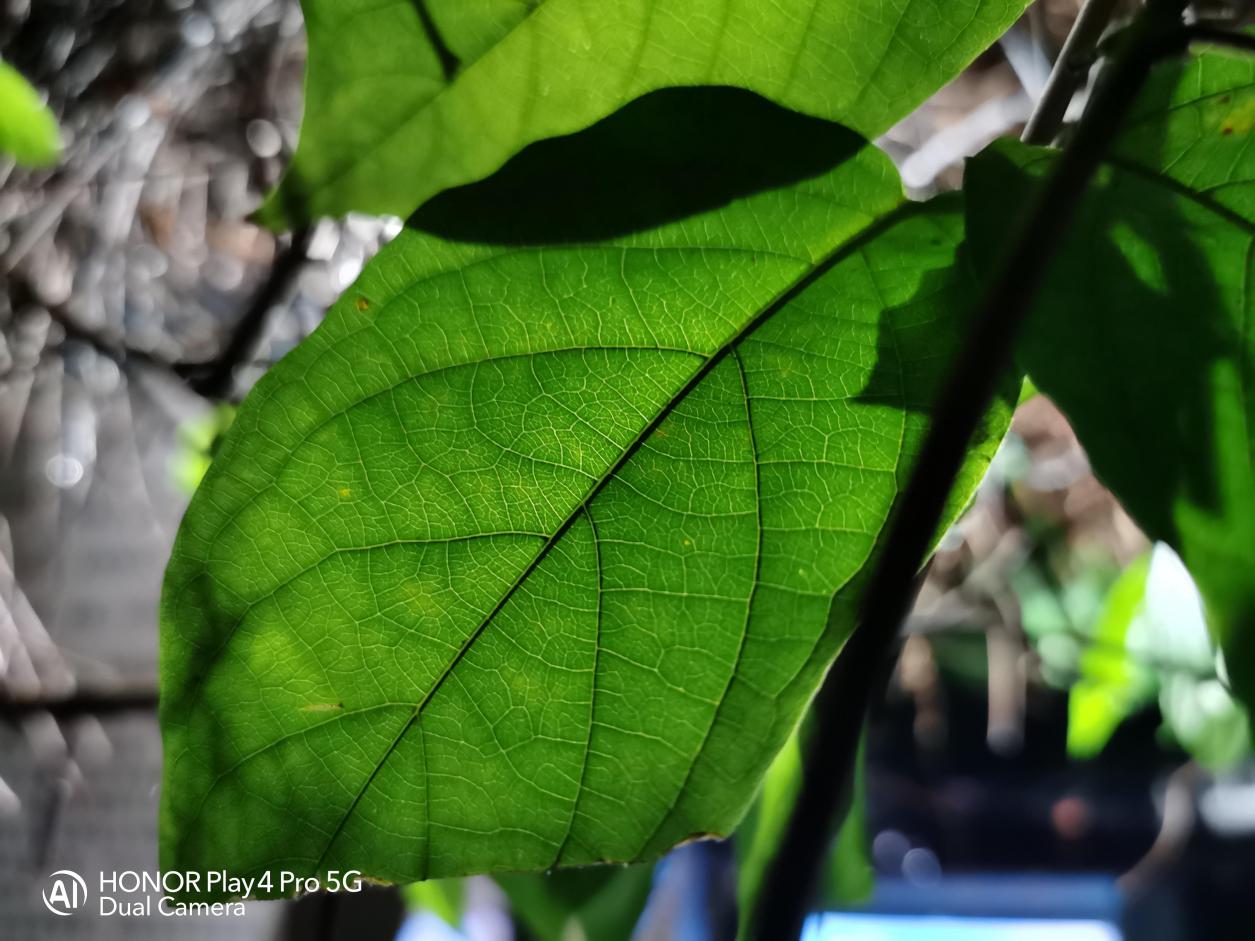 光荣play4pro普通版跟红外版,光荣play4pro和光荣play4tpro