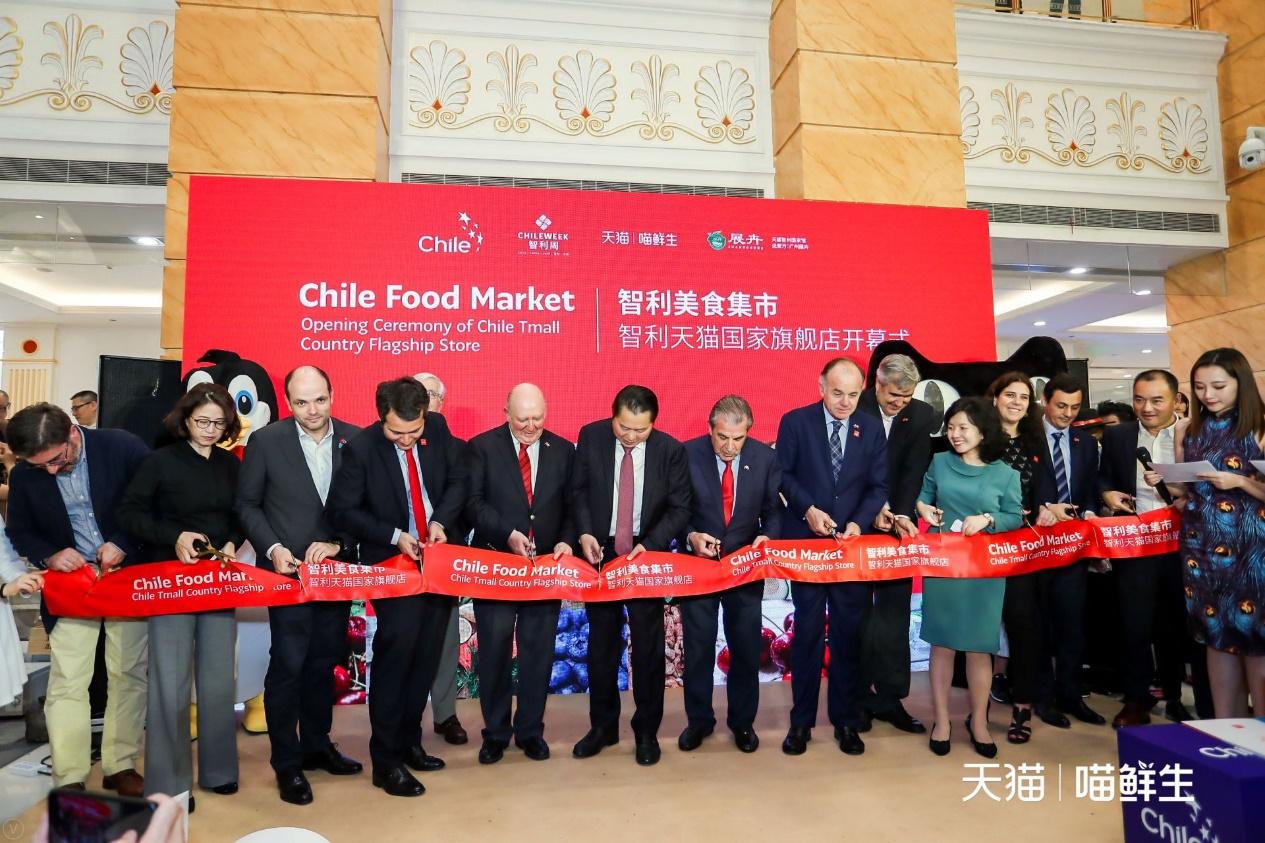 智利官方旗舰店,智利天猫国家旗舰店