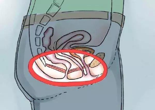 凯格尔肌的训练方法,凯格尔一类肌二类肌