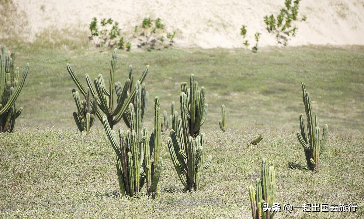 罗纳尔多内马尔贝利谁更厉害,罗纳尔多内马尔贝利
