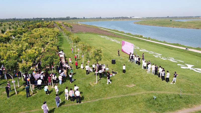 又一大片花海惊艳滹沱河,滹沱河生态景区滹沱花海