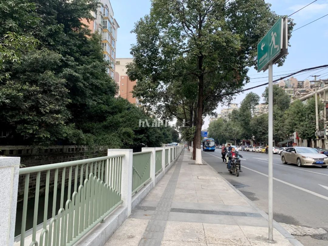 成都绿道风景美如画,成都周边哪条河边绿道最美