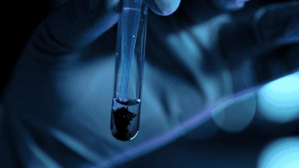 央视重口法医纪录片，网友直呼看不过瘾