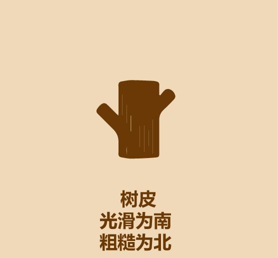 户外探险怎么看方向,野外冒险知识指南