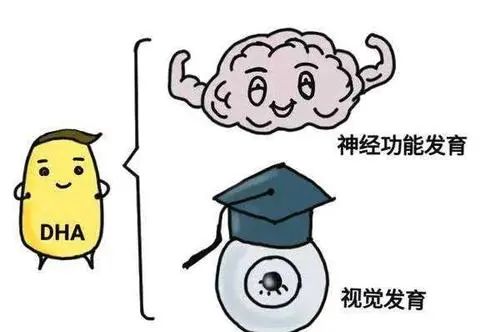 dha是真有效还是智商税,dha到底是智商税还是真有用