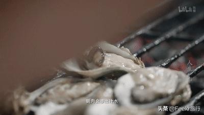 广东著名渔港开渔,广东开渔季节