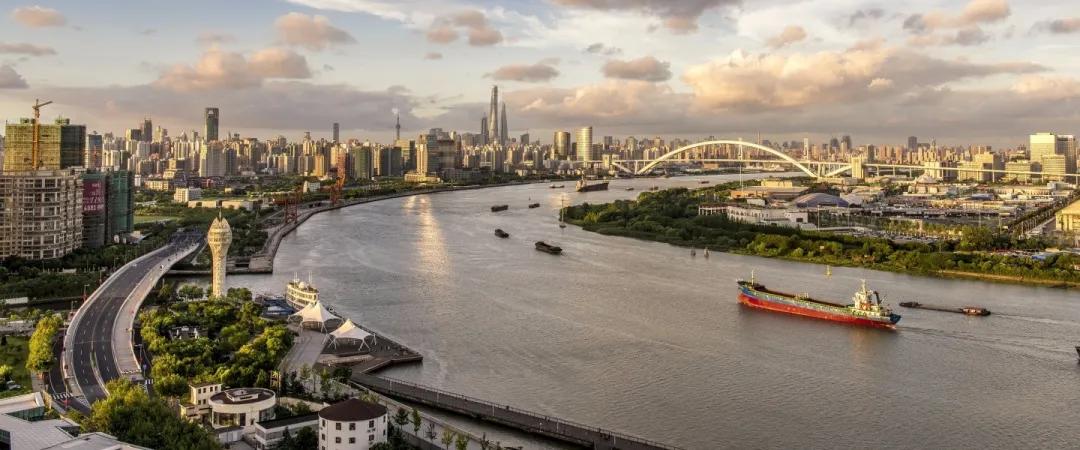 新机构入局西岸艺岛！每年拿出300万支持年轻人的基金会将启