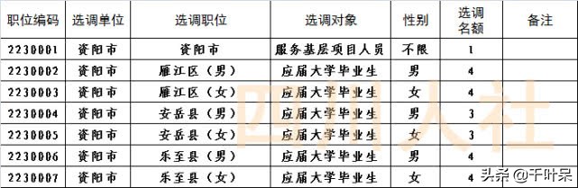 四川省选调生基层工作公告,四川省2020选调大学生到基层