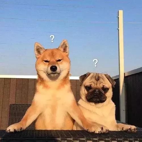 什么是第二学历和最高学历,双学位第一学历是什么