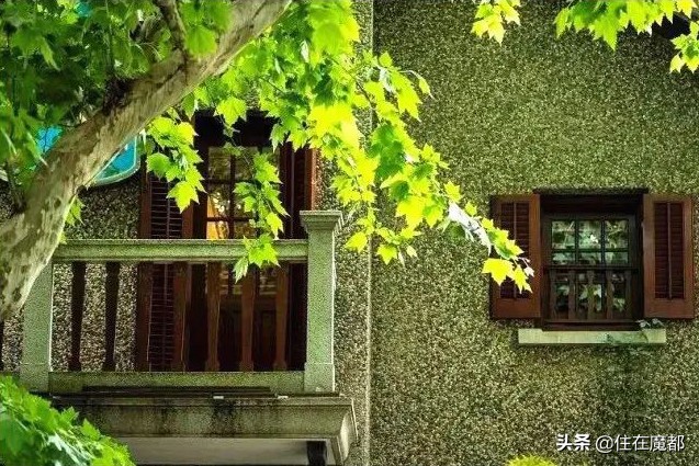 我从思南公馆漫步1公里，转角遇见TA