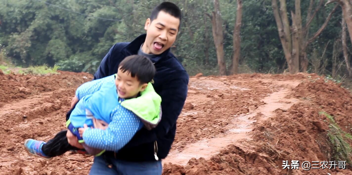 新农村建设田园风光小镇,农业种植养殖观光旅游休闲的方案