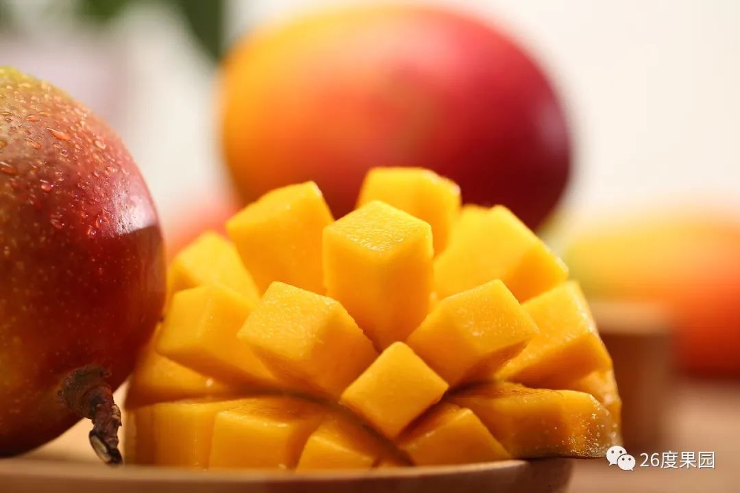 苹果芒都有哪些品种,七彩苹果芒