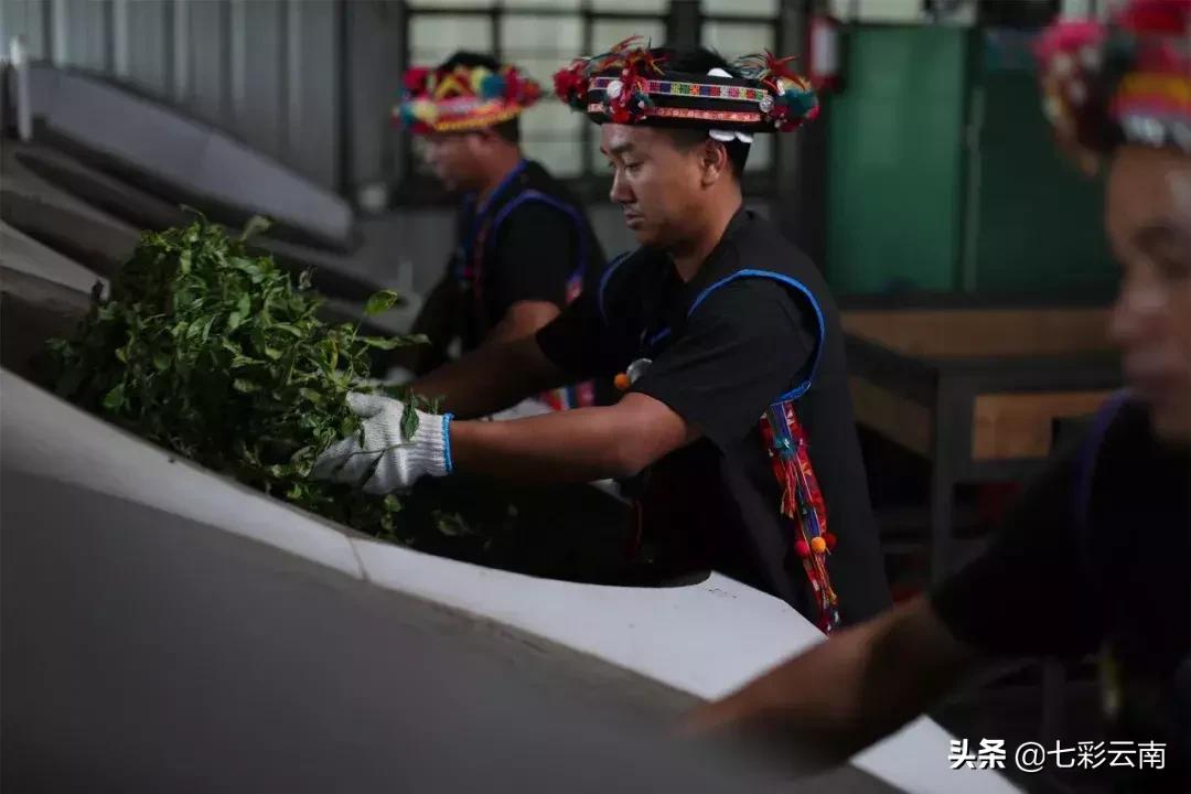 七彩云南庆沣祥生茶,2018年云南普洱茶十大名茶