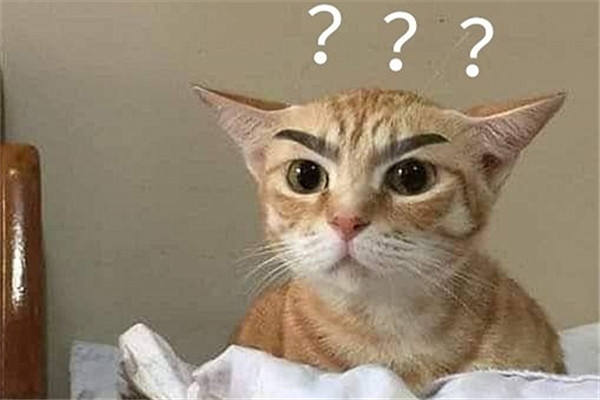 painintheass俚语,paininthebutt