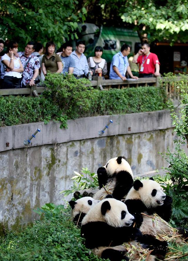 成都怎样去青城山都江堰,成都十大景点武侯祠