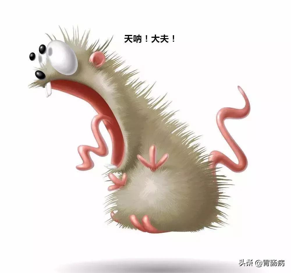 肚子痛到底是哪里痛,肚子痛应该是哪痛一张图告诉你