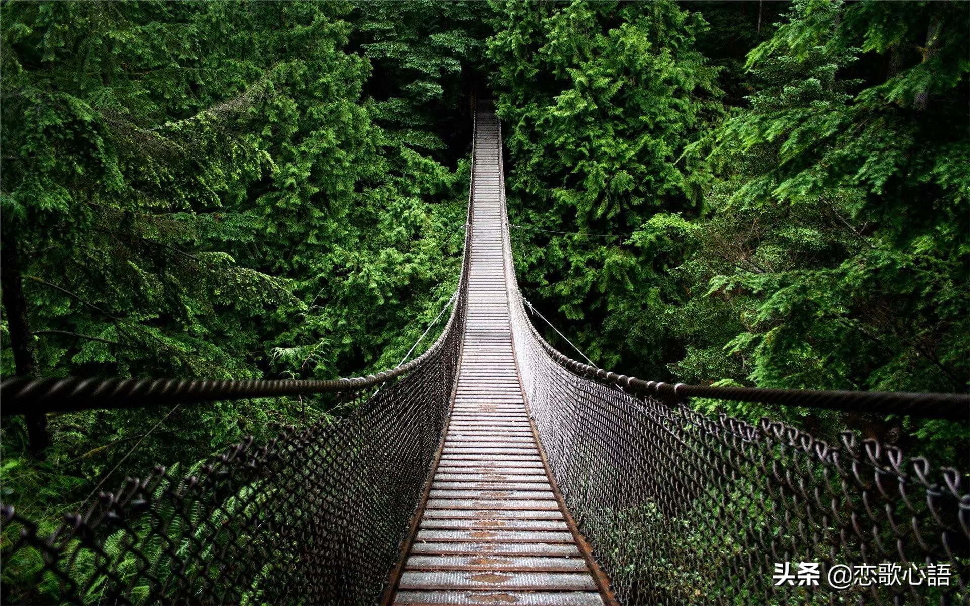 朗诵在路上完整版董卿,朗诵在路上主持稿串词