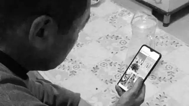 互联网改变我的家乡,你家乡的互联网怎样了