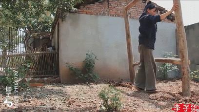 最美村姑李子柒,全网最火的网红李子柒