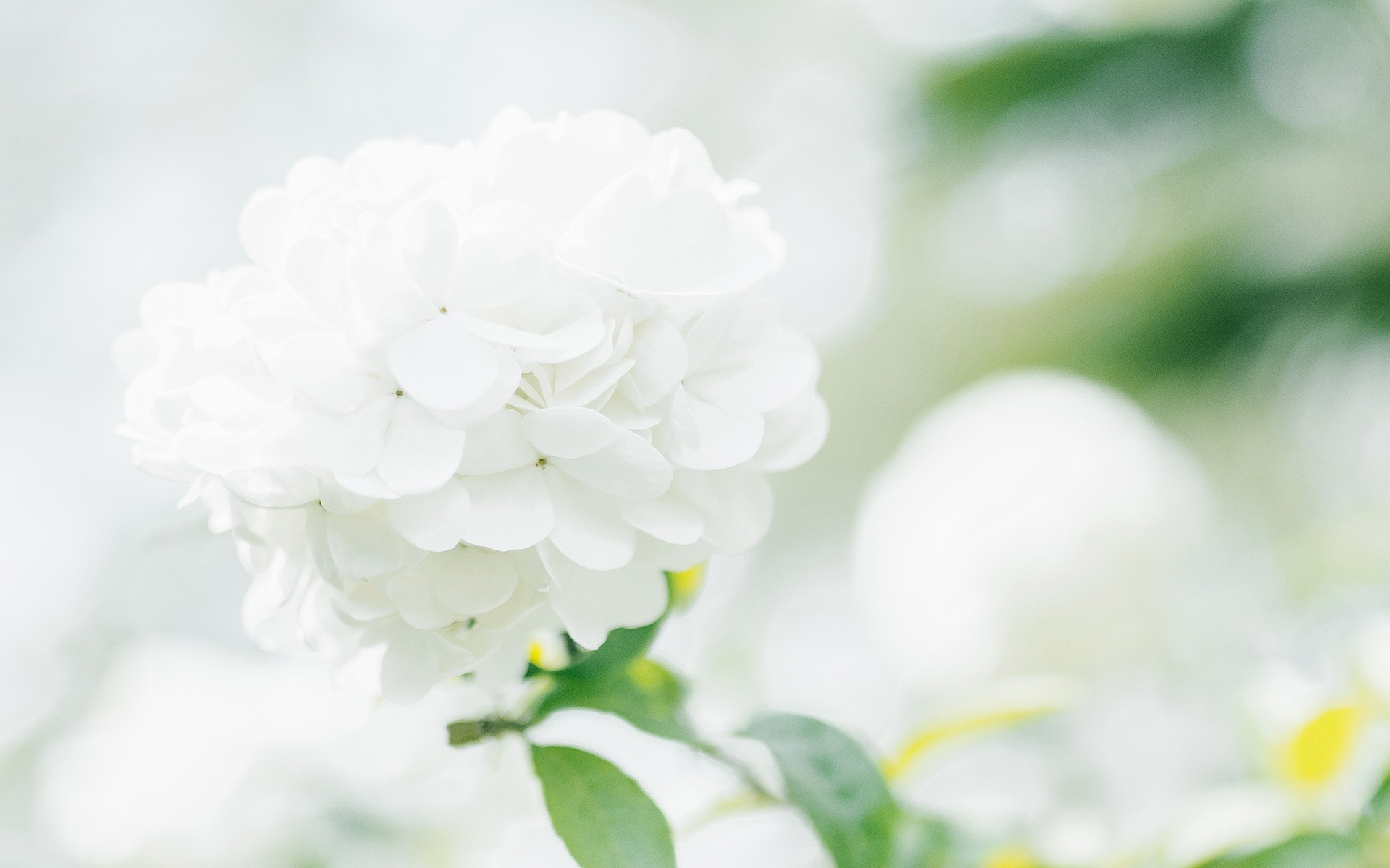 函授学士学位和专升本,成人专升本业余和函授有什么区别