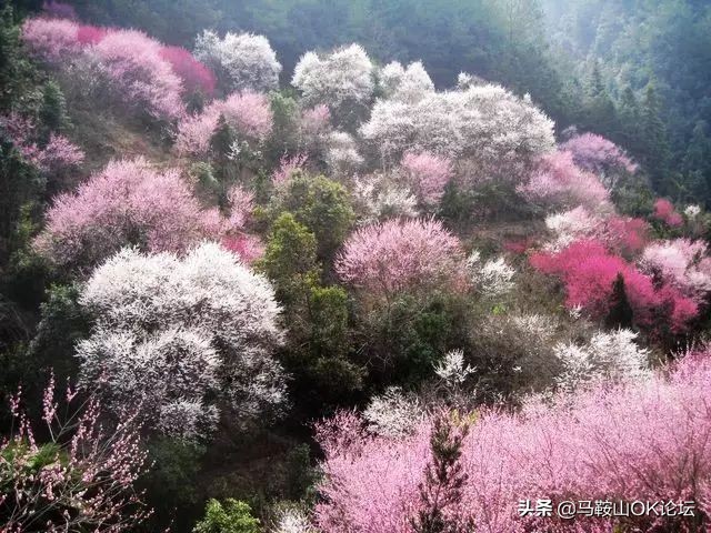 马鞍山天气预报降温时间,今年马鞍山冷吗