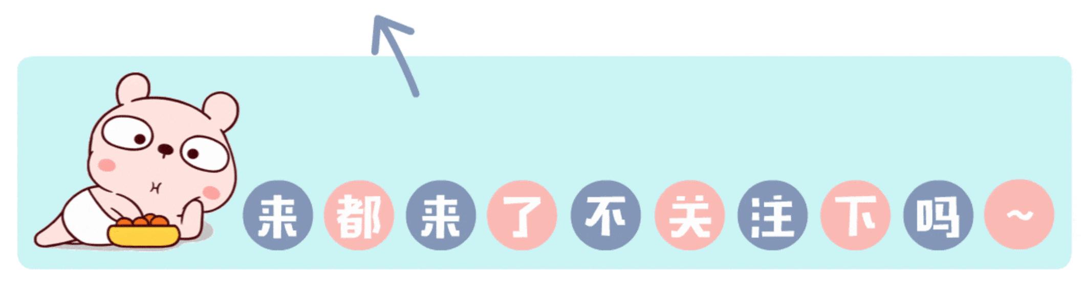 白岩松中国文化,白岩松河南什么样中国就什么样