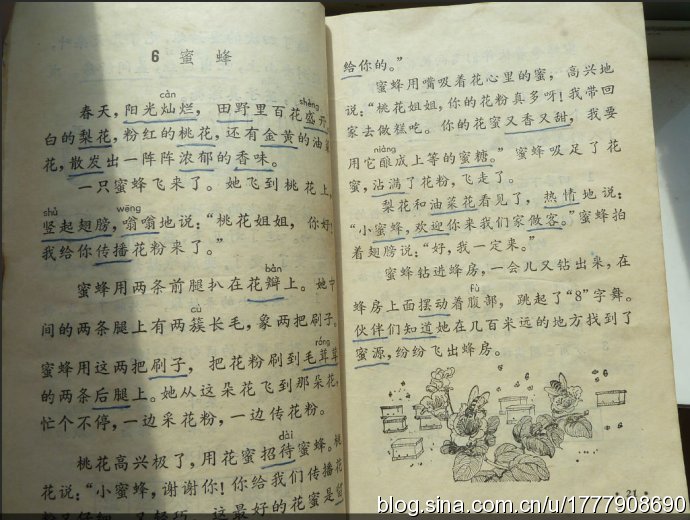 五年制小学语文课本80后回忆,80后一代人的上学生活回忆