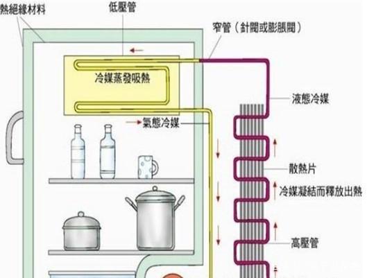 买冰箱基本常识,冰箱的知识冰箱使用的常识