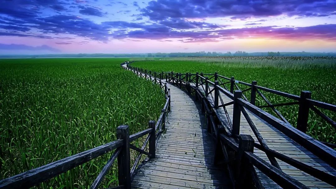 崇明度假酒店推荐,崇明凯悦亲子游攻略