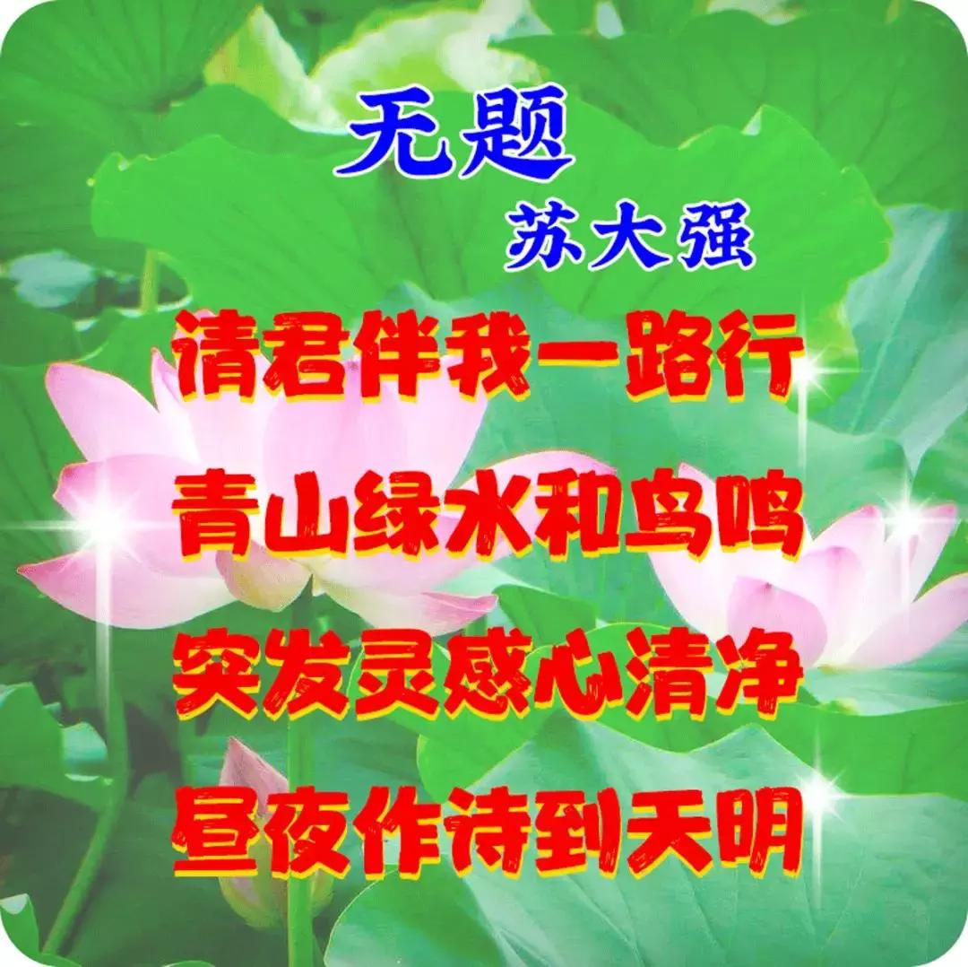 苏大强为啥不洗澡？我终于搞懂了！