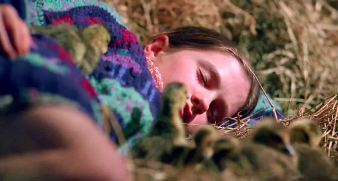 6-12岁必看十部国产教育电影,关于教育孩子的电影推荐有哪些