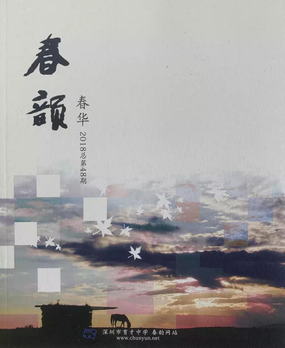 深圳改革开放40周年教育的发展,深圳教育改革最新方案