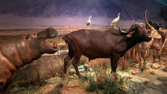 深圳适合小朋友好玩的地方推荐,深圳十个值得带孩子玩的地方