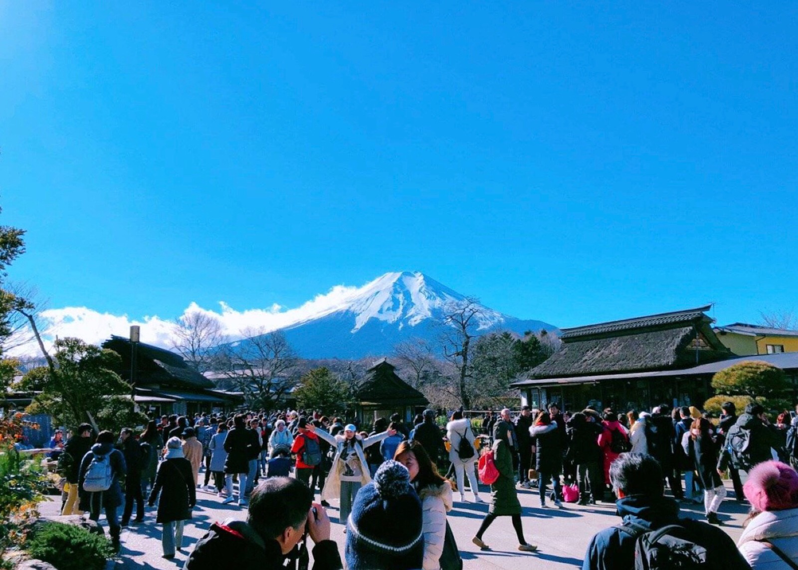 老夫妻笑话笑死人不偿命,爆笑的笑话笑到肚子疼要死