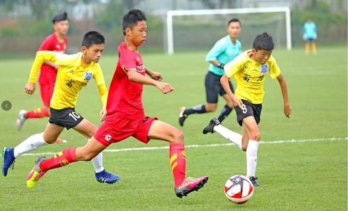 中国有多少青训足校,中国所有的足校