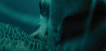 富二代晒人骨皮包的真相完整版,富二代晒人骨皮包图片