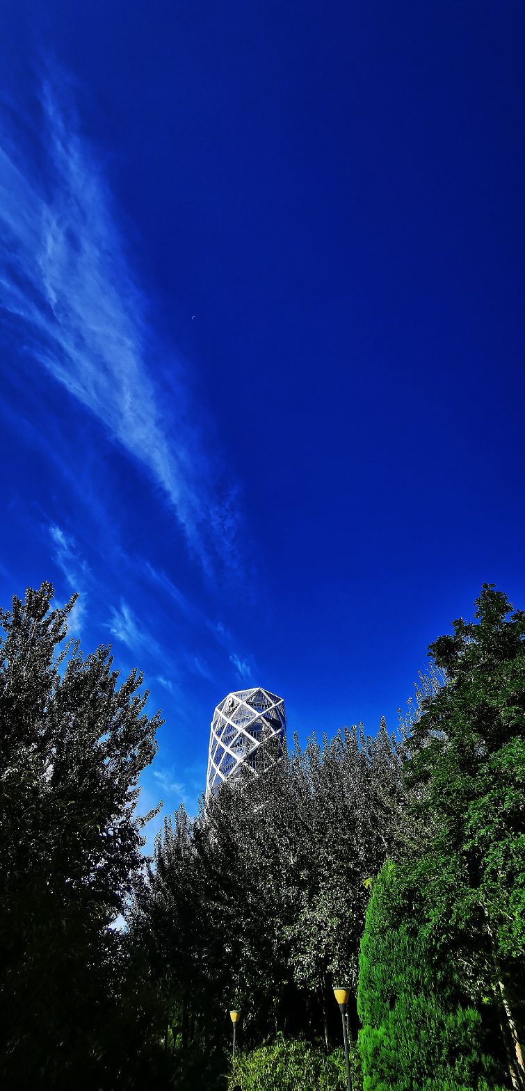 鍖椾含绉樺,鍖椾含绉樺涔嬫梾