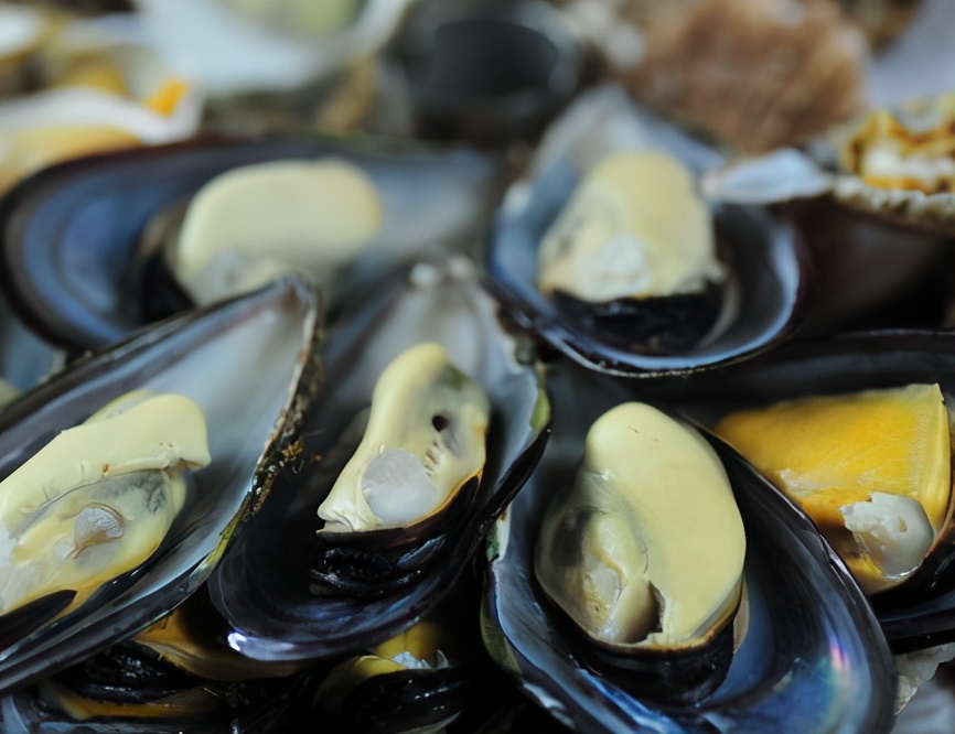 海虹为什么有红肉和白肉之分,海虹为什么有黄肉白肉