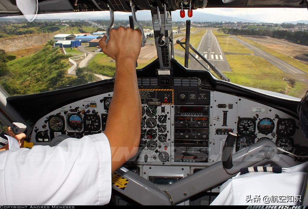 飞机制造商对动物的喜爱到底有多深？——德哈维兰加拿大