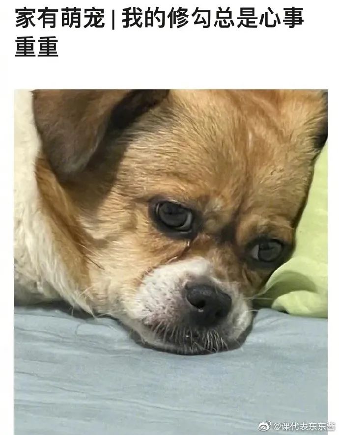 买宿舍床垫怎么量尺寸,鲁东大学宿舍床垫尺寸