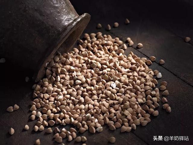 五谷杂粮蛋有什么营养价值,五谷杂粮大米饭的营养价值