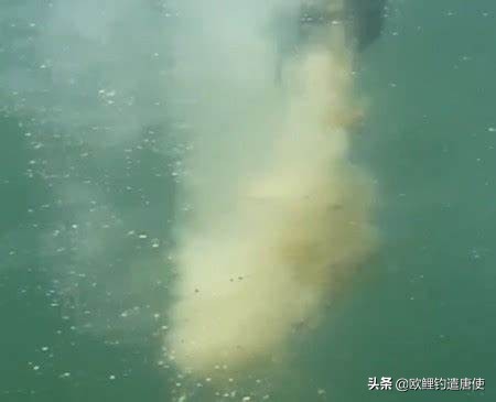 话说欧鲤钓之科学篇,欧鲤钓知识讲解