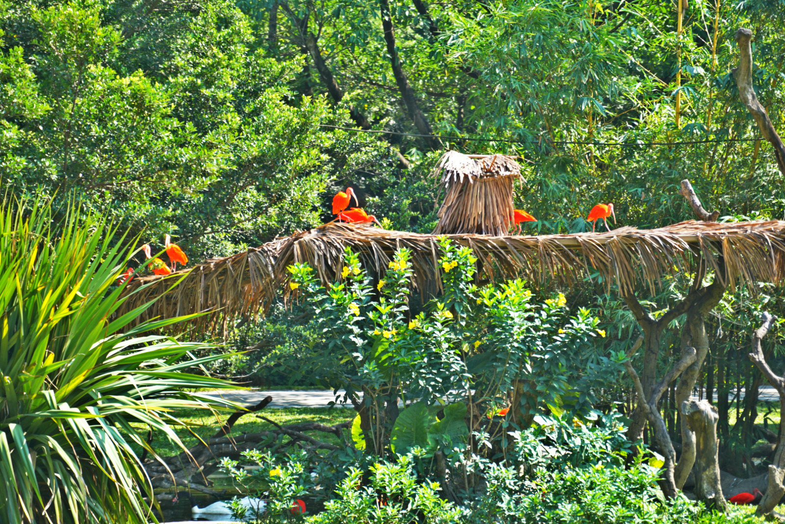 常州恐龙园和珠海长隆哪个好玩,珠海长隆海洋王国好玩吗