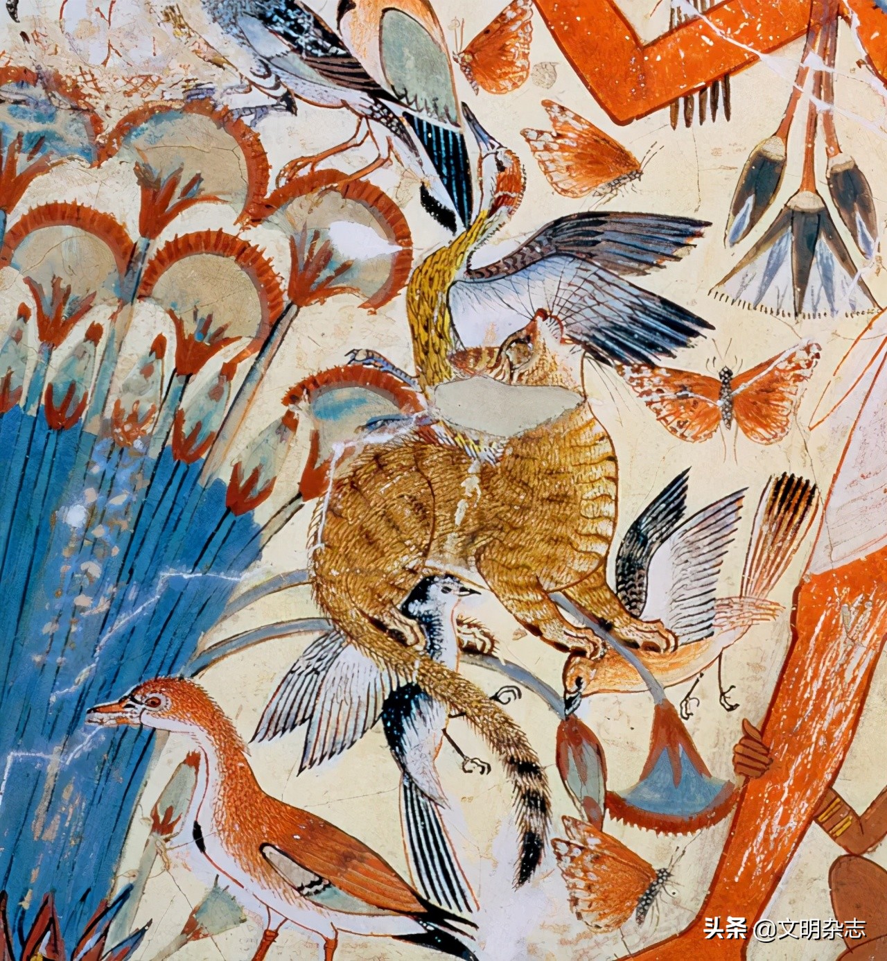 在古埃及神话中的猫传说,古埃及和猫的历史故事